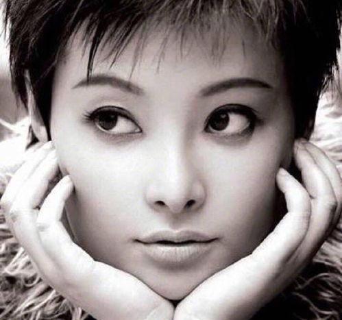 袁立最新爆料新闻,最新爆料揭露惊人内幕